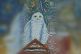 Christmas Owl