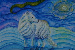 Arctic Wolf