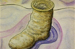 Caribou Sock 2