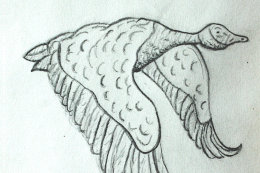 Goose Drawing