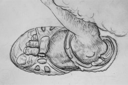 My Foot