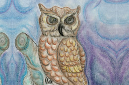 Night Owl
