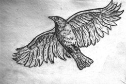 Raven