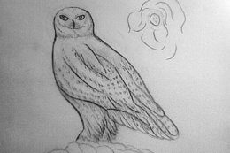 Snow Owl