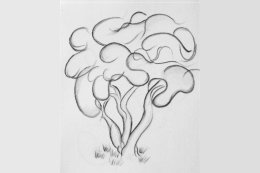 Tree Drawing
