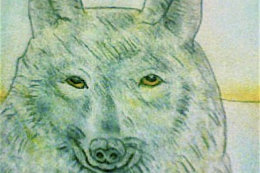 Wolf Drawing 2